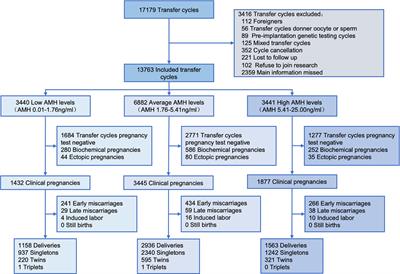 Serum anti-Müllerian hormone levels are associated with perinatal outcomes in women undergoing IVF/ICSI: A multicenter retrospective cohort study
